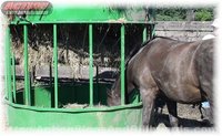 Testimonial of our hay hopper horse feeder