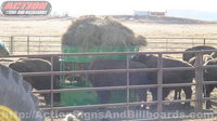 Hay Hopper Buffalo Feeder/Hay Saving Buffalo Feeder/Hay Saver Buffalo Feeder 